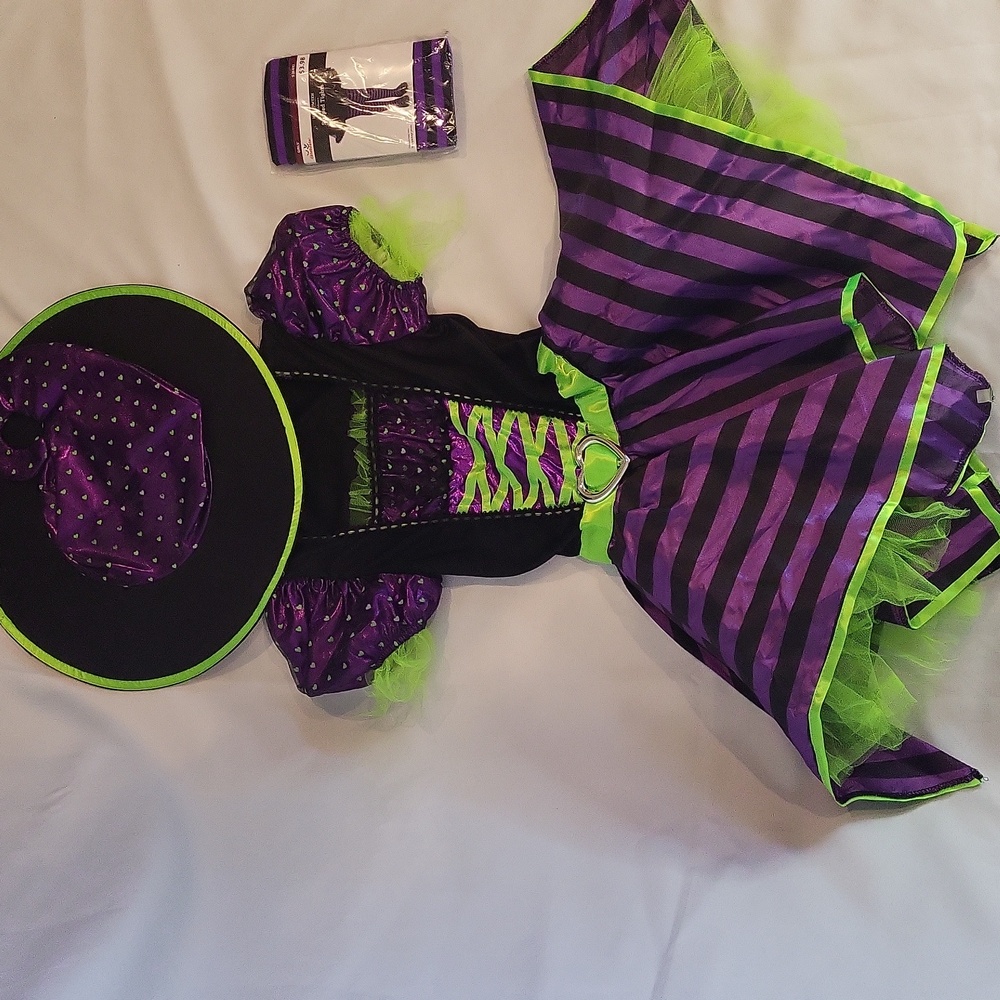 Pretty Potion Girls Witch Halloween Costume Size M 7/8 Purple Green
